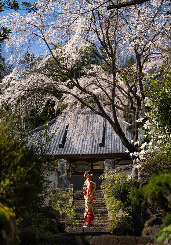 振袖前撮り・ロケーション撮影・出張